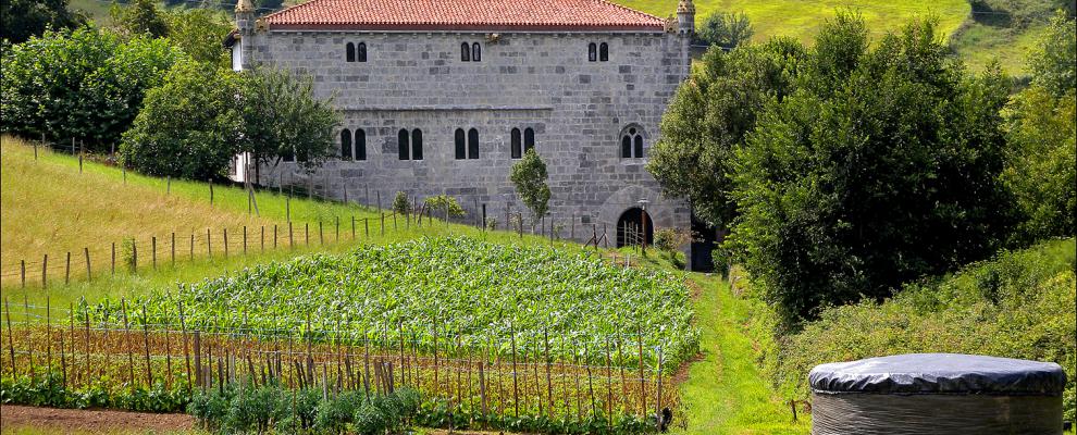 ZESTOA